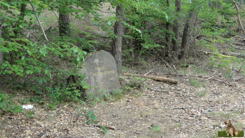 Ritterstein Nr. 242-4b Ruine Badisch Forsthaus.JPG - Ritterstein Nr.242 Ruine Badisch Jagdhaus